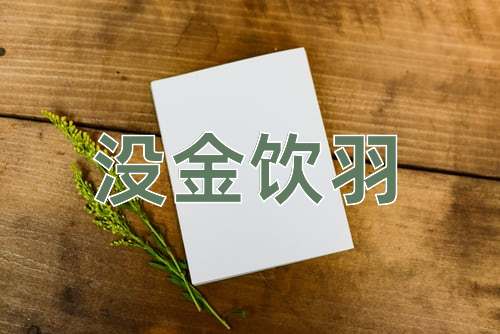 成语没金饮羽