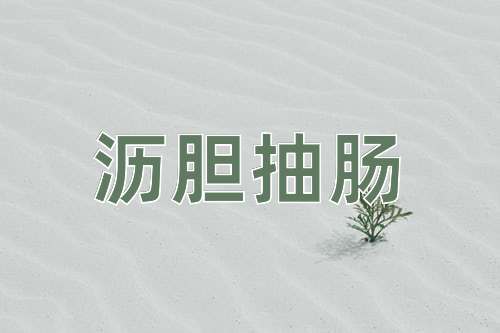 成语沥胆抽肠