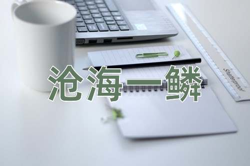 成语沧海一鳞