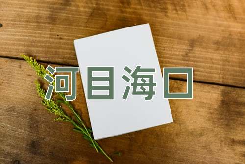 成语河目海口