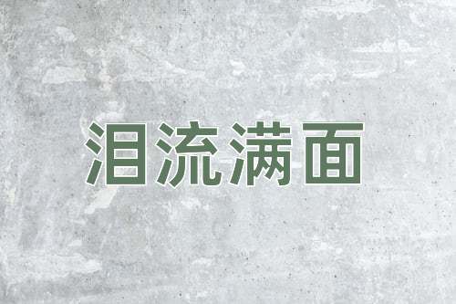 成语泪流满面