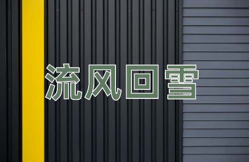 成语流风回雪