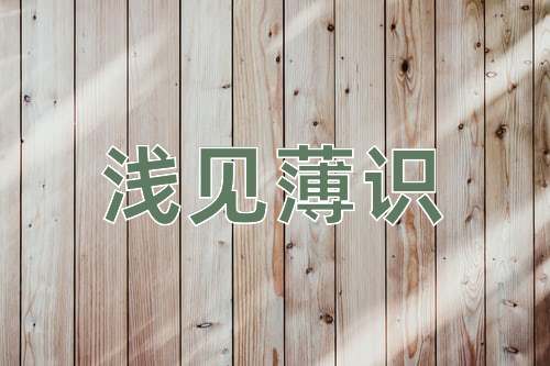 成语浅见薄识