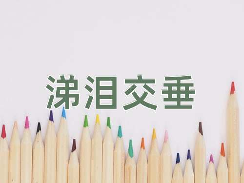 成语涕泪交垂