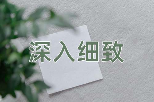 成语深入细致