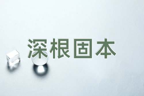 成语深根固本