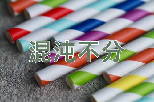 成语混沌不分