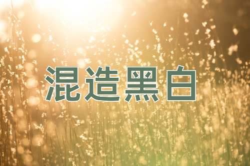 成语混造黑白