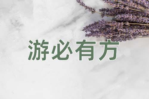 成语游必有方