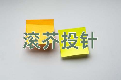 成语滚芥投针