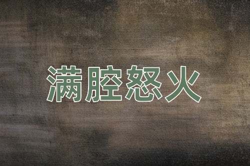 成语满腔怒火