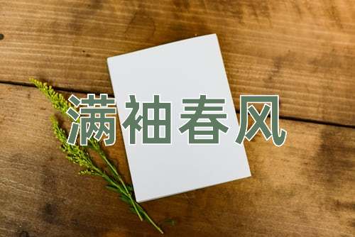 成语满袖春风