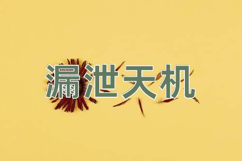 成语漏泄天机