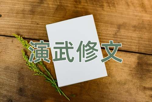 成语演武修文