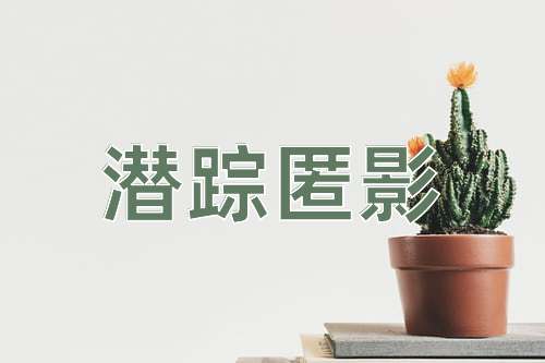 成语潜踪匿影
