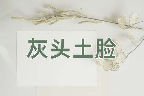 成语灰头土脸