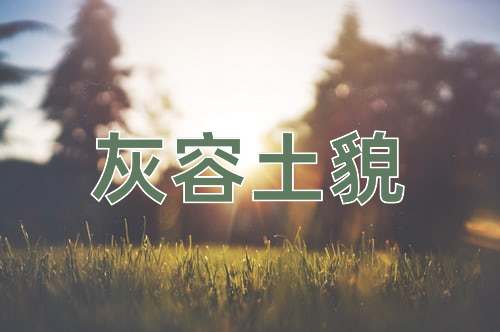 成语灰容土貌