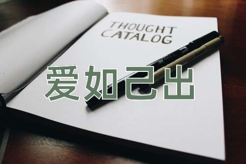 成语爱如己出