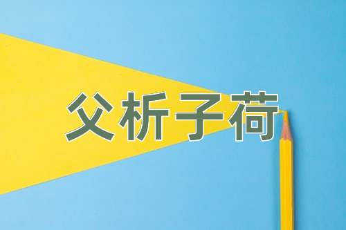 成语父析子荷
