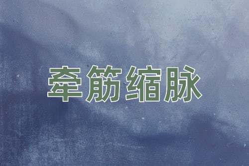 成语牵筋缩脉