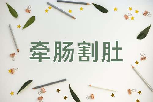 成语牵肠割肚