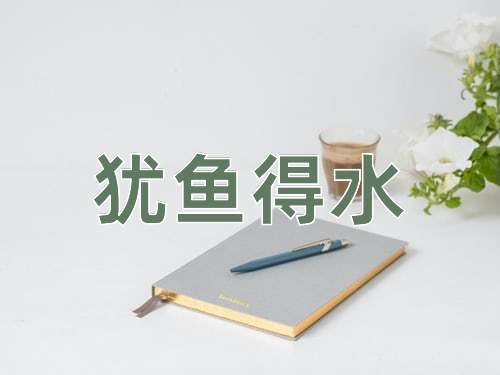 成语犹鱼得水