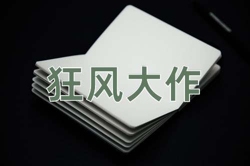 成语狂风大作