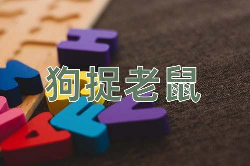成语狗捉老鼠