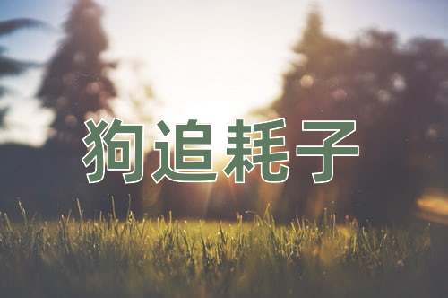 成语狗追耗子