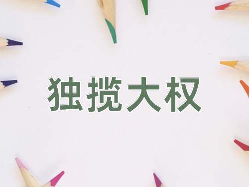 成语独揽大权