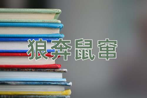 成语狼奔鼠窜