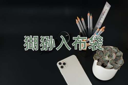成语猢狲入布袋