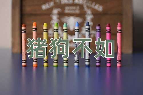 成语猪狗不如