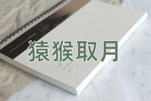 成语猿猴取月