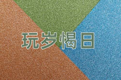 成语玩岁愒日
