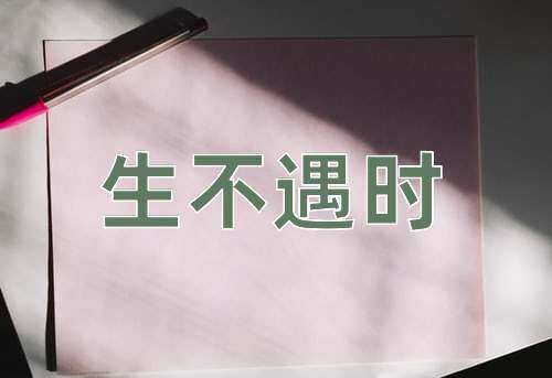 成语生不遇时