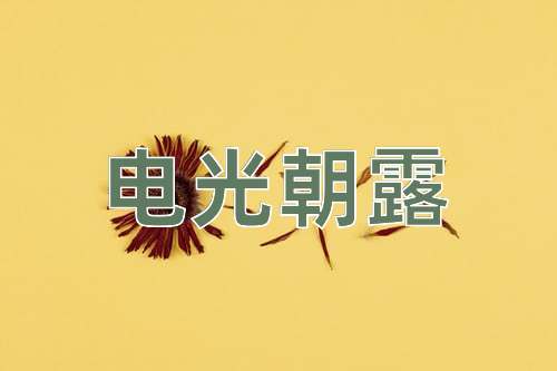 成语电光朝露