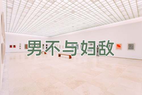 成语男不与妇敌