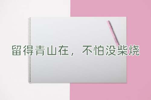 成语留得青山在，不怕没柴烧