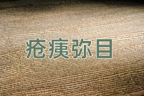 成语疮痍弥目