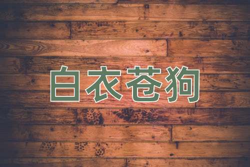 成语白衣苍狗