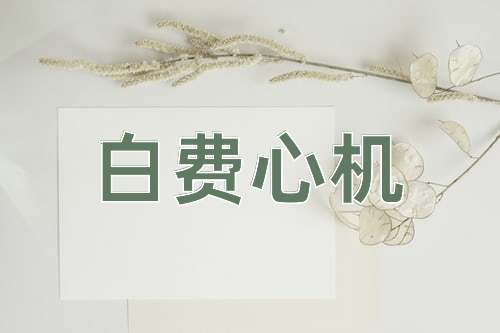成语白费心机