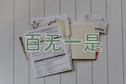 成语百无一是