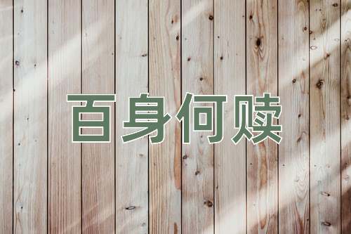 成语百身何赎