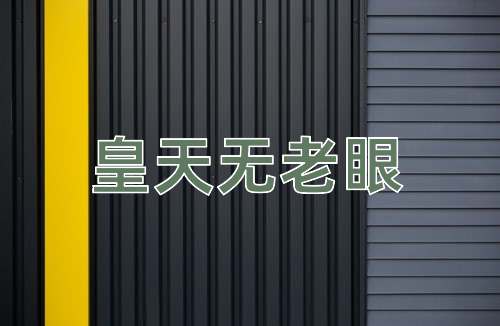 成语皇天无老眼