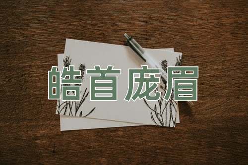 成语皓首庞眉