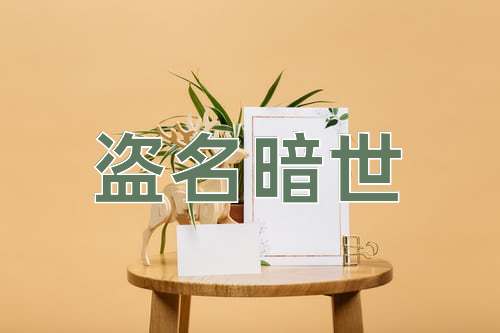 成语盗名暗世