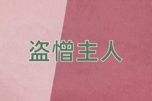 成语盗憎主人