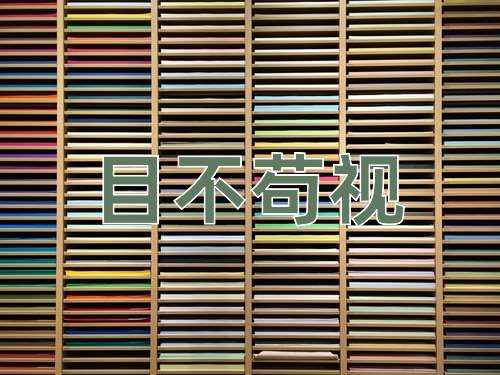成语目不苟视