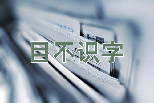 成语目不识字
